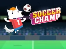 Champ de fotbal