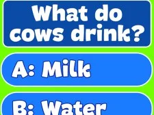 Trivia!Cel mai bun test de familie
